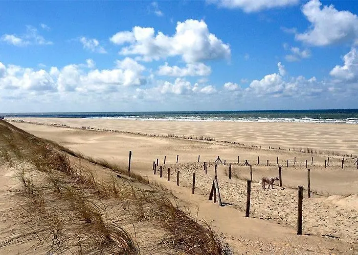 Beach Chalet Tranquilo