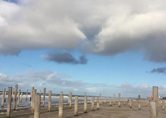 Beach Dream 3B